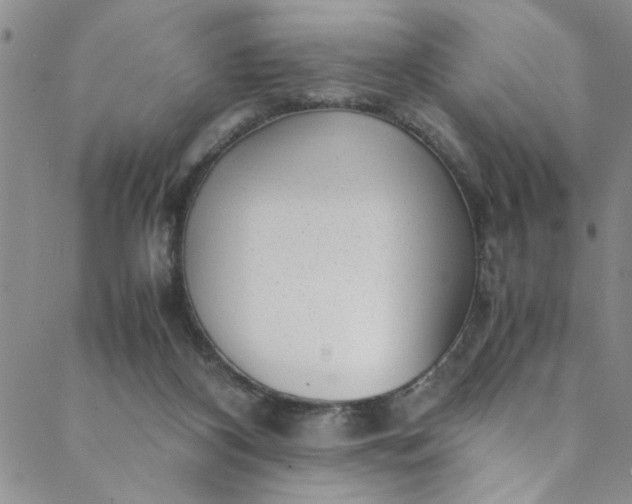 X0000088580116200706081133