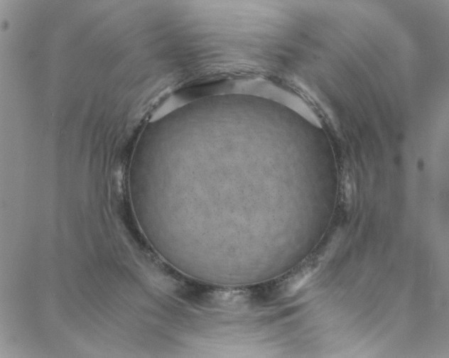 X0000088580117200706081133