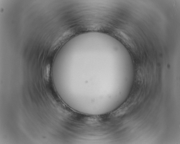 X0000088580118200706081132