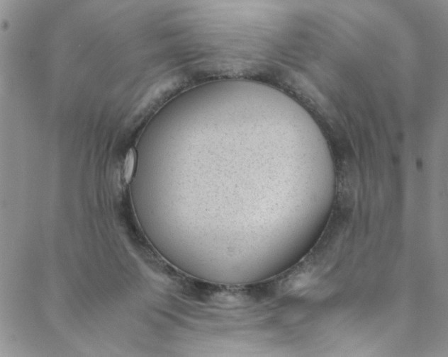 X0000088580119200706081132