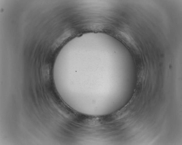 X0000088580120200706081132