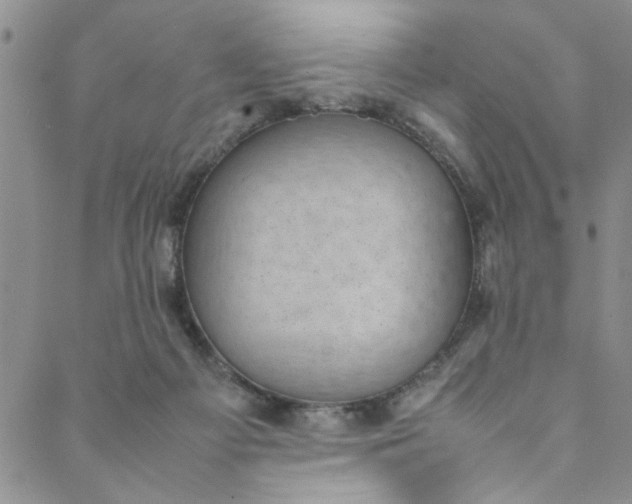 X0000088580121200706081132