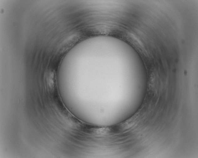 X0000088580122200706081132