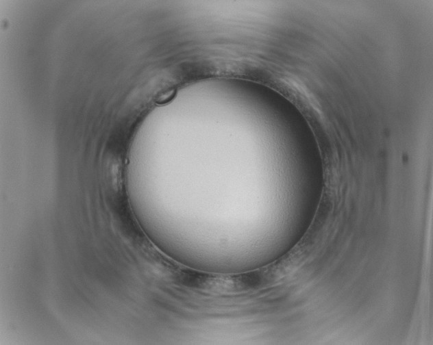 X0000088580123200706081132