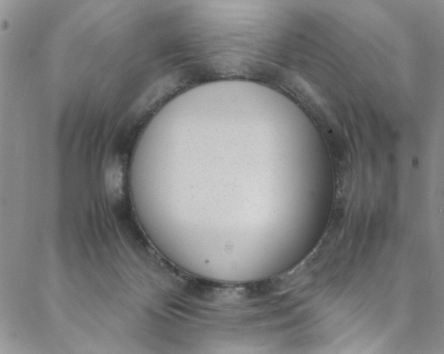 X0000088580124200706081132