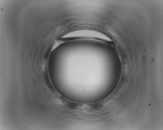 X0000088580125200706081132