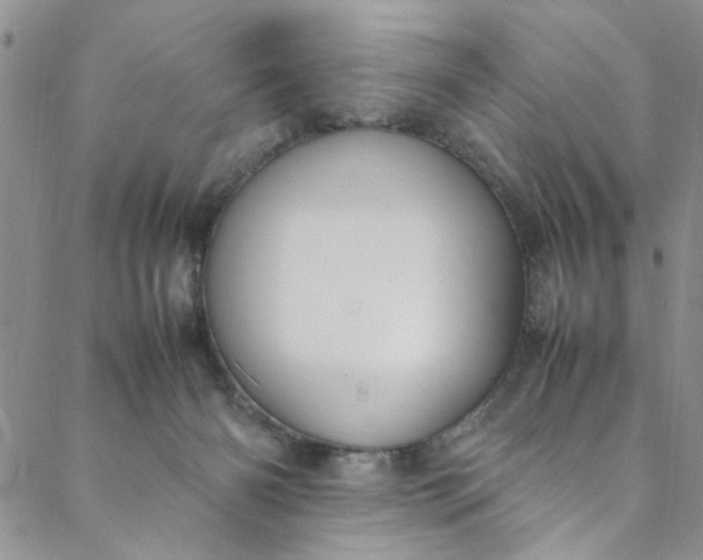 X0000088580126200706081132