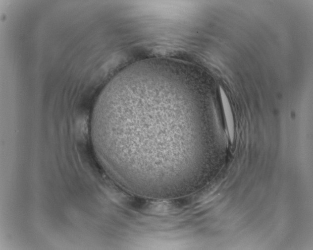 X0000088580127200706081132