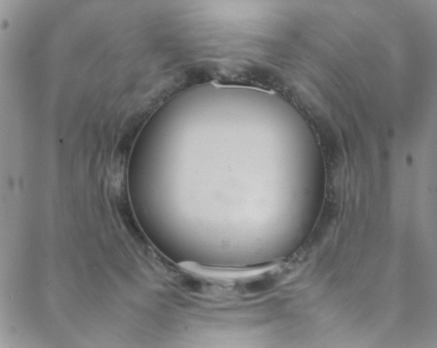 X0000088580129200706081132