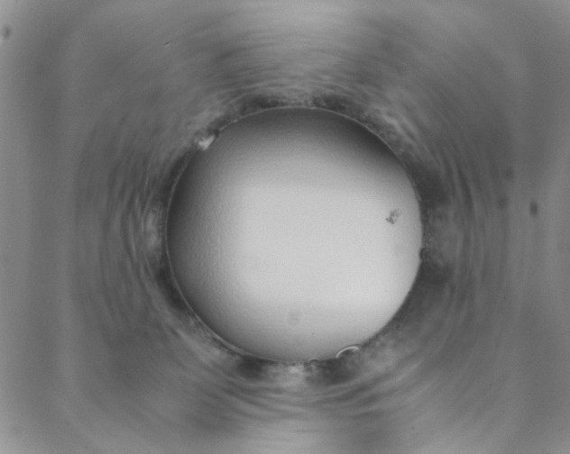 X0000088580131200706081132