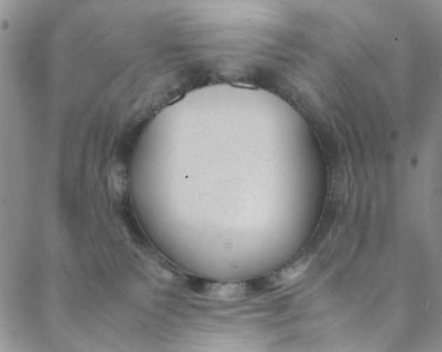 X0000088580135200706081132