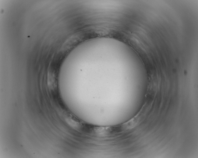 X0000088580136200706081132