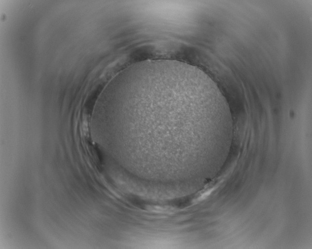 X0000088580137200706081132