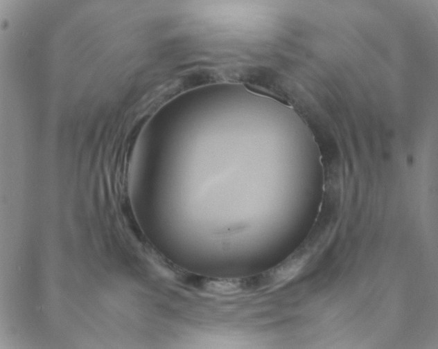 X0000088580139200706081132