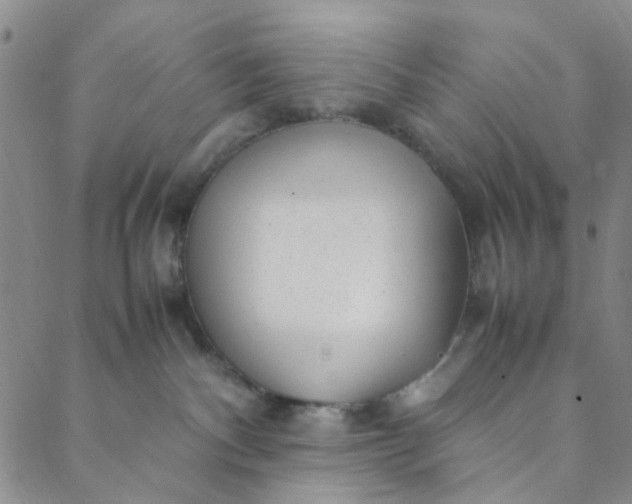 X0000088580140200706081132