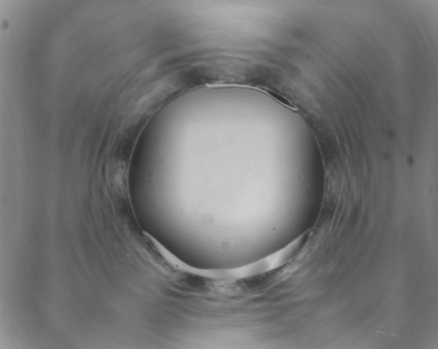 X0000088580141200706081132