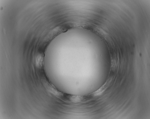 X0000088580142200706081132