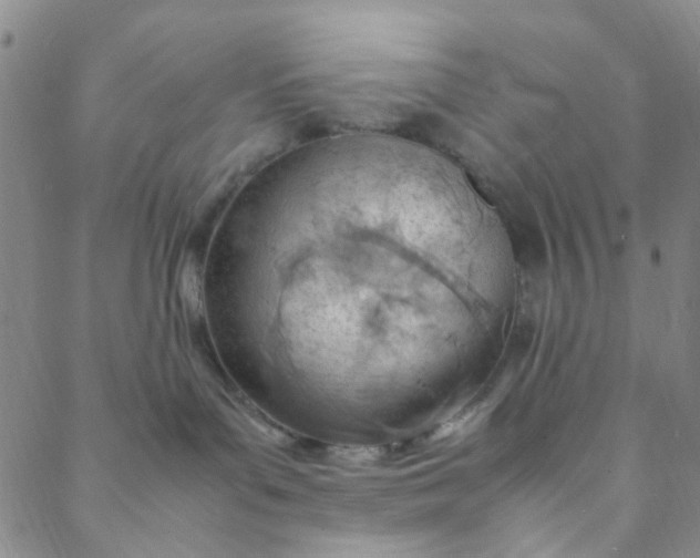 X0000088580143200706081132