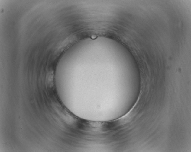 X0000088580144200706081132