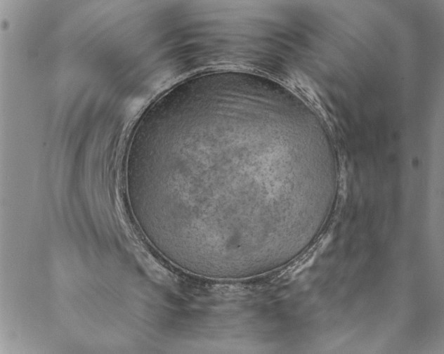 X0000088580145200706081131