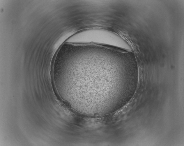 X0000088580147200706081131