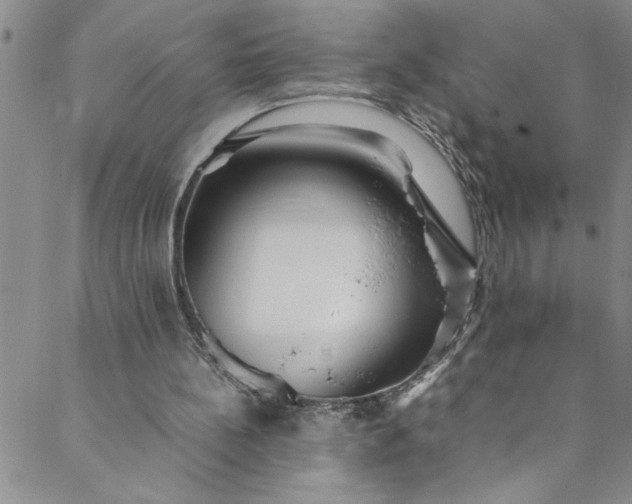 X0000088580148200706081131