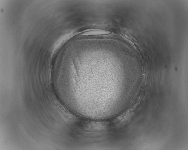 X0000088580149200706081131