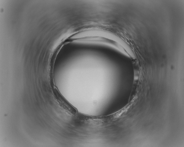 X0000088580150200706081131