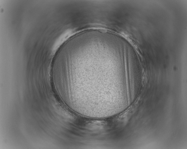 X0000088580151200706081131