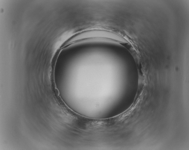 X0000088580152200706081131