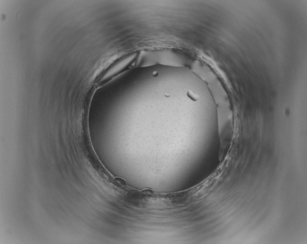 X0000088580154200706081131