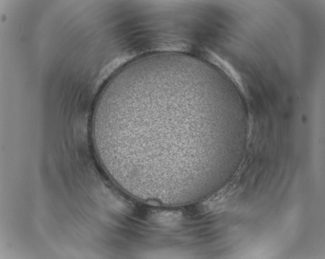 X0000088580155200706081131