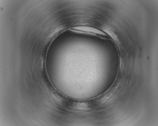 X0000088580157200706081131