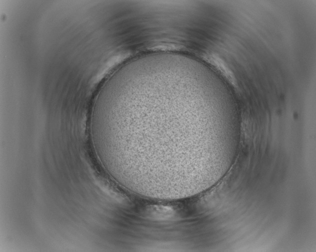 X0000088580159200706081132