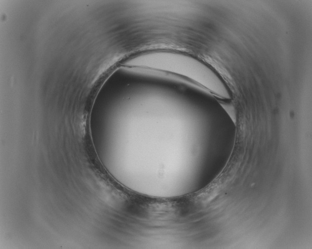 X0000088580160200706081132