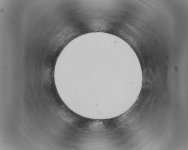 X0000088580162200706081132