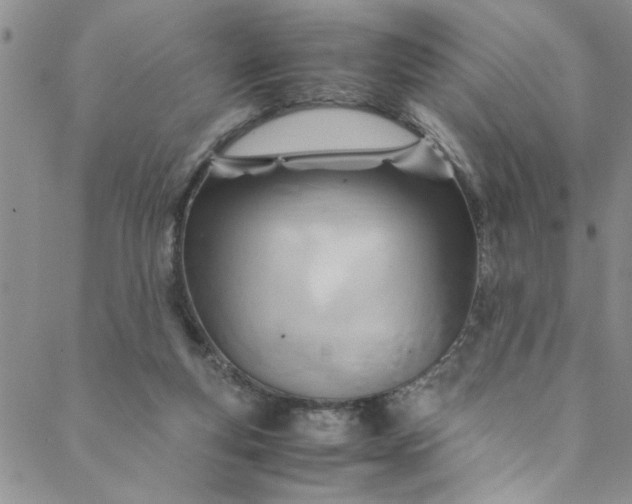 X0000088580163200706081132