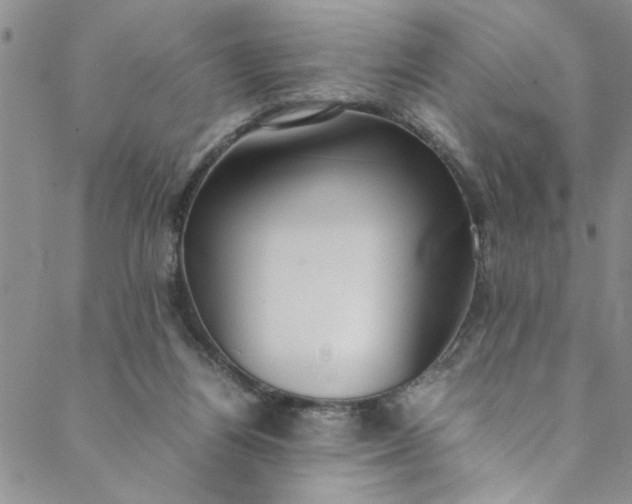 X0000088580164200706081132