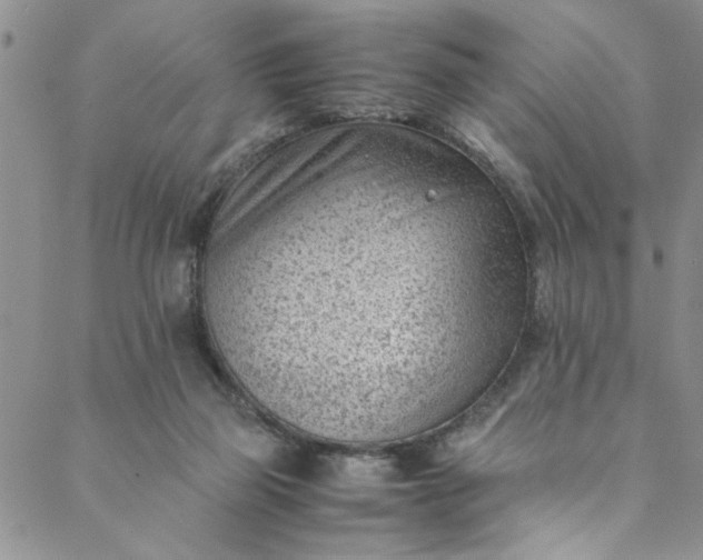 X0000088580165200706081132