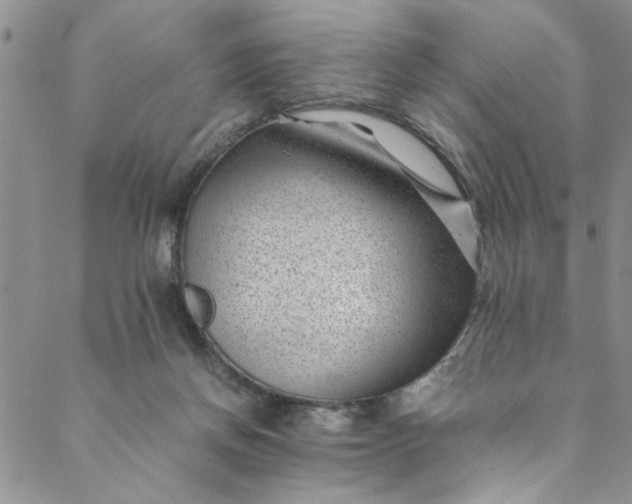 X0000088580166200706081132