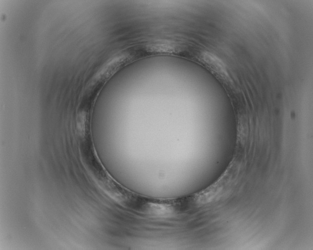 X0000088580167200706081132