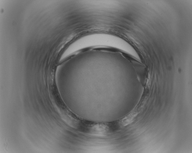 X0000088580168200706081132