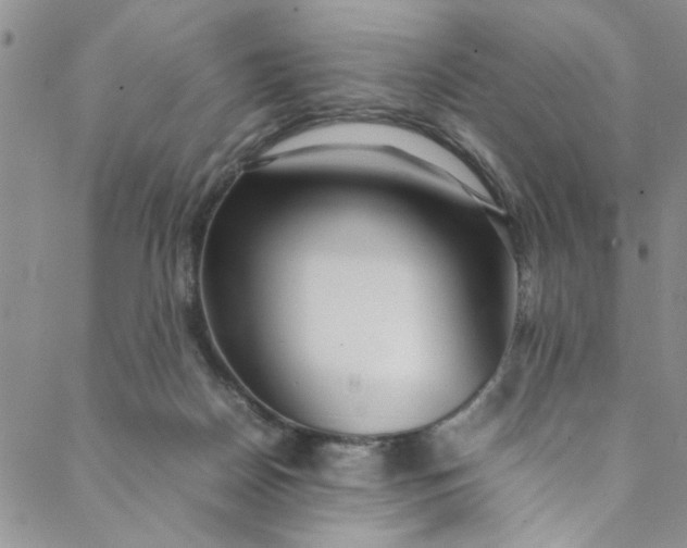 X0000088580170200706081132