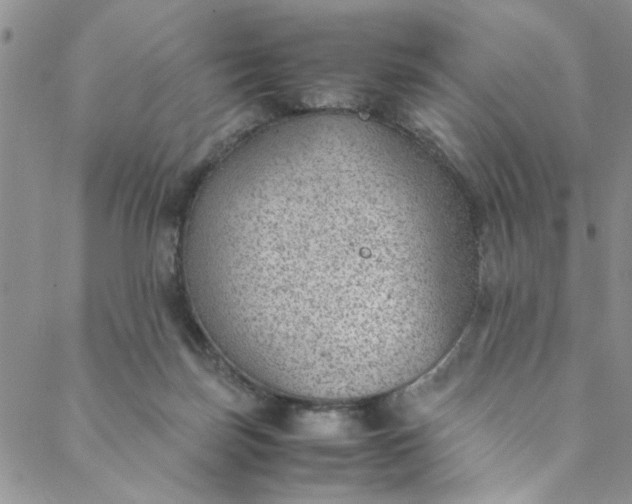 X0000088580171200706081132