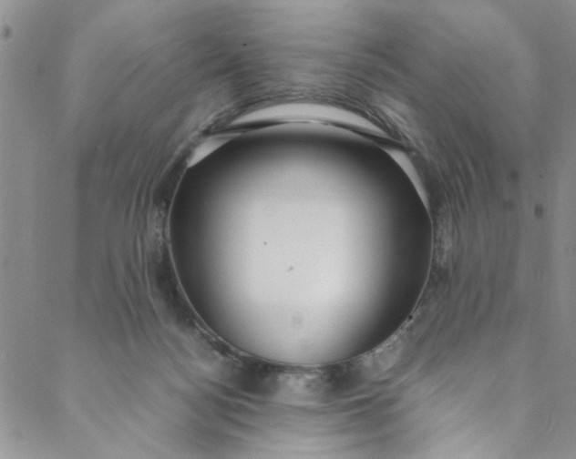 X0000088580172200706081132