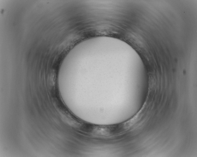 X0000088580174200706081132