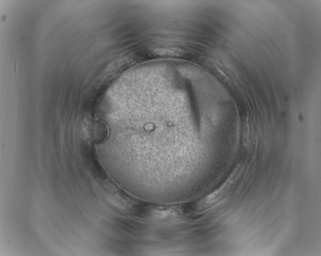 X0000088580175200706081132