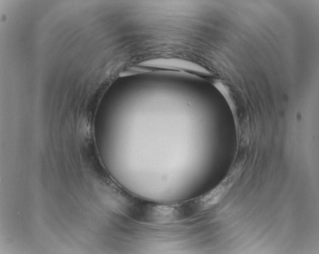 X0000088580176200706081132