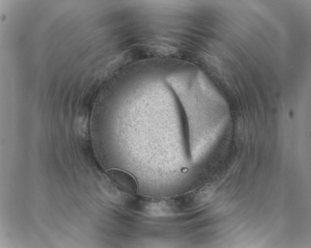 X0000088580177200706081132