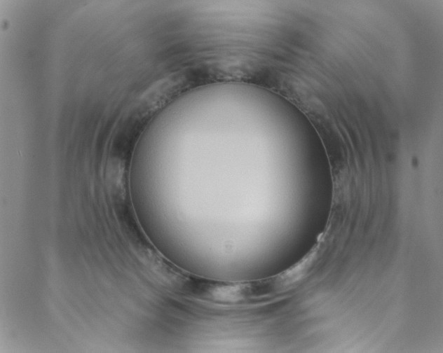 X0000088580178200706081132